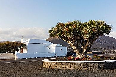 乌克兰矿场发现3800台PS4 专门挖FIFA FUT金币