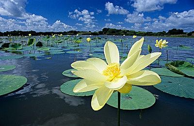 中国量子计算机“悟空”即将问世 国内首条量子芯片生产线公开